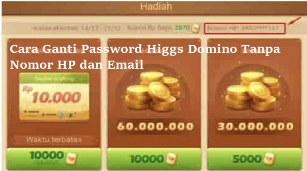 cara melihat password higgs domino